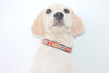 Seiba Overlay Dog Collar